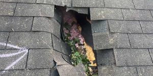 Tree falls on roof: Urgent Roof Repair after tree damage in Atlanta