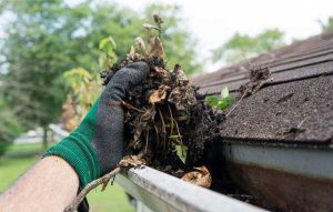 Clogged Gutters