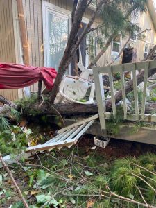 Woodstock House Tree Damage roof deck gutters siding